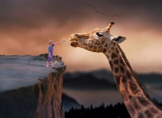 Czy można żyć o samym chlebie?