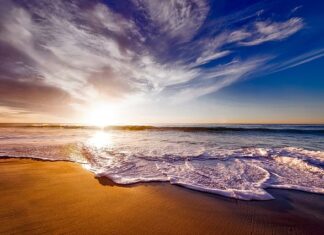 O czym świadczy piana na miodzie?