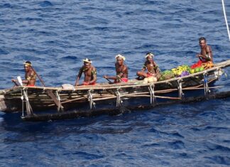 Jak obsadzić ziemiankę?