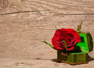 Jak zrobić szkatułkę z kartonu?