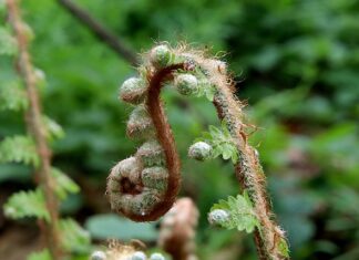 Jak wyprostować felgę stalową?