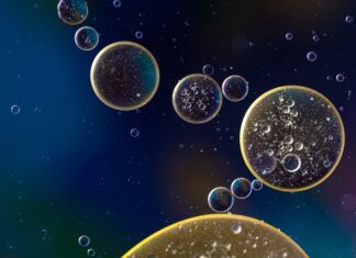 Ile wchodzi oleju do silnika fiat seicento 900?