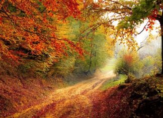 W którym roku rozpoczęto produkcję Fiata Cinquecento?