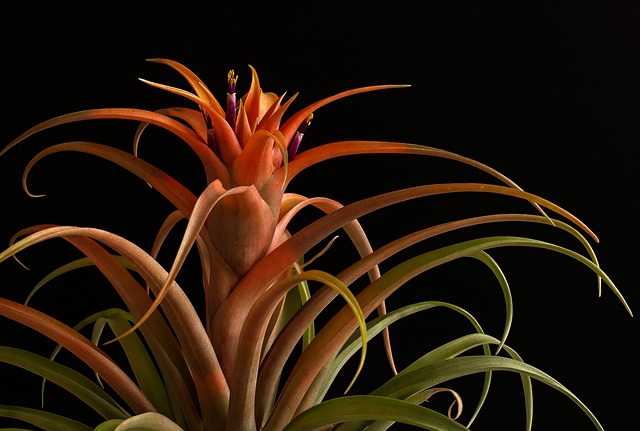 Co znaczy ostrze gładkie? Co znaczy ostrze gładkie?