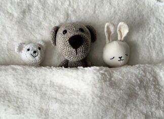 Ile cukru na jedną rodzinę pszczelą?