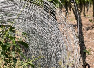 Jak odgrodzić się od sąsiadów na balkonie?