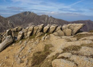 Jak prawidłowo układać żywność w lodówce?
