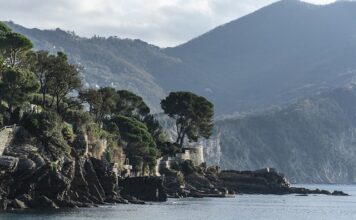 Ile kosztuje jedna paleta euro? Ile kosztuje jedna paleta euro?