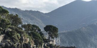 Ile kosztuje wymiana pokrycia dachowego?