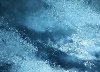 Co trzymać na najwyższej półce w lodówce?