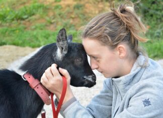 Jakie czułości lubią mężczyźni? Jakie czułości lubią mężczyźni?