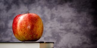 Jaka jest najlepsza klasa Mercedesa? Jaka jest najlepsza klasa Mercedesa?