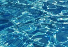 Jakiego materiału nie lubią koty?