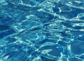 Jakiego materiału nie lubią koty?