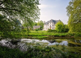 Co rośnie na terenach podmokłych?