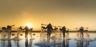 Czy można wsypać sól do oczka wodnego?