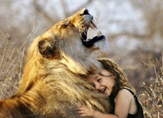 Jaka jest najlepsza klasa w Mercedesie?