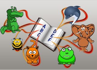 Ile kosztuje DAF XG +? Ile kosztuje DAF XG +?