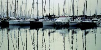 Czy można pakować próżniowo pomidory?