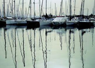 Czy można pakować próżniowo pomidory?