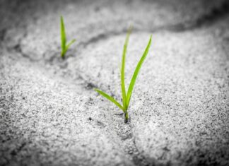 Jaka jest trwałość silników 1.0 MPI? Jaka jest trwałość silników 1.0 MPI?