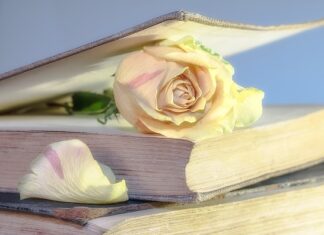 Ile kosztuje Używana Honda Civic?