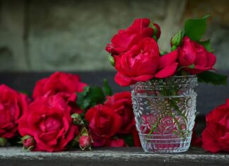 Czy pojemniki po lodach są szkodliwe?