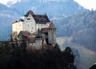 Czym wysypać skarpę?