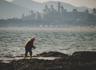 Jak szybko i skutecznie posprzątać pokój?
