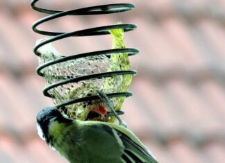 Ile pokarmu do ula na zimę?