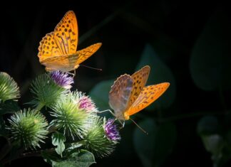 Co to znaczy masa własna? Co to znaczy masa własna?