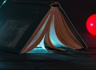 Co włożyć do filtra do oczka wodnego?