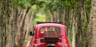 Jaki Bąk ma Fiat Doblo?