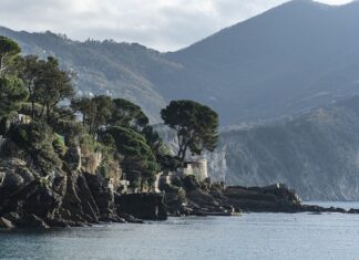 Ile kosztuje najtańsza Škoda nowa? Ile kosztuje najtańsza Škoda nowa?