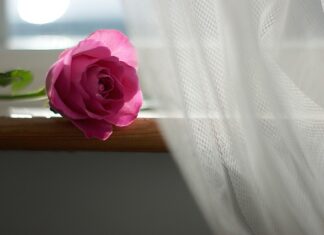 Jaka to jest firana żakardowa?