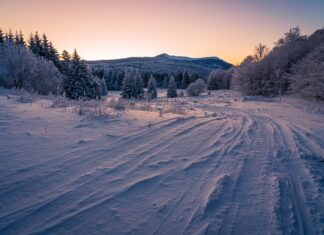 Jakie opony do Hondy Jazz?